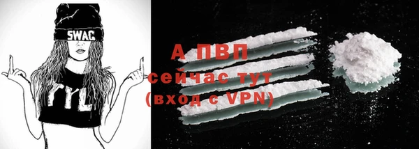 тгк Каменка