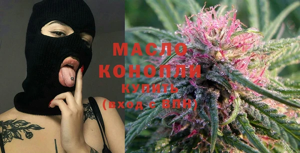 тгк Каменка