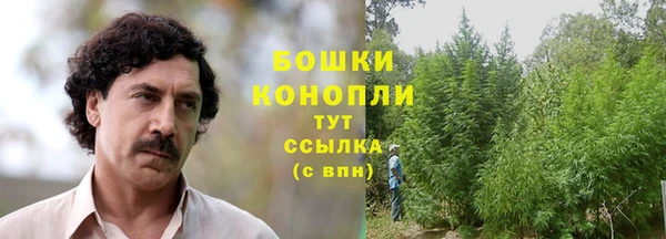 тгк Каменка
