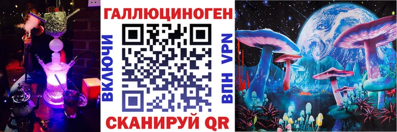 Купить закладки  Егорьевск  Псилоцибиновые грибы Psilocybe 
